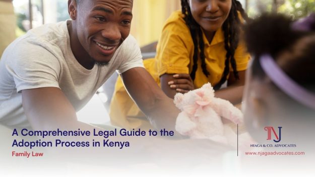 African descent gent and lady all smiles giving a baby teddy bear to a baby girl showing adoption concept | Legal Guide to the Adoption Process in Kenya | family lawyers in kenya | child adoption in kenya