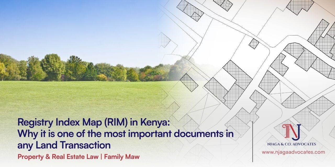Registry Index Map (RIM) in Kenya Registry Index Map in Kenya blog header showing green land with cadastral map overlay by Njaga & Co. Advocates | Real estate law in Kenya | Property lawyers in Kenya