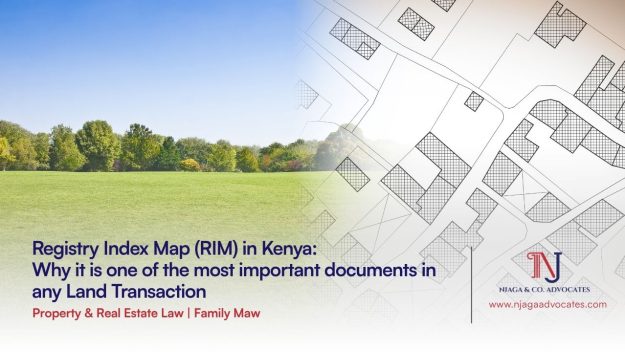 Registry Index Map in Kenya blog header showing green land with cadastral map overlay by Njaga & Co. Advocates | Real estate law in Kenya | Property lawyers in Kenya