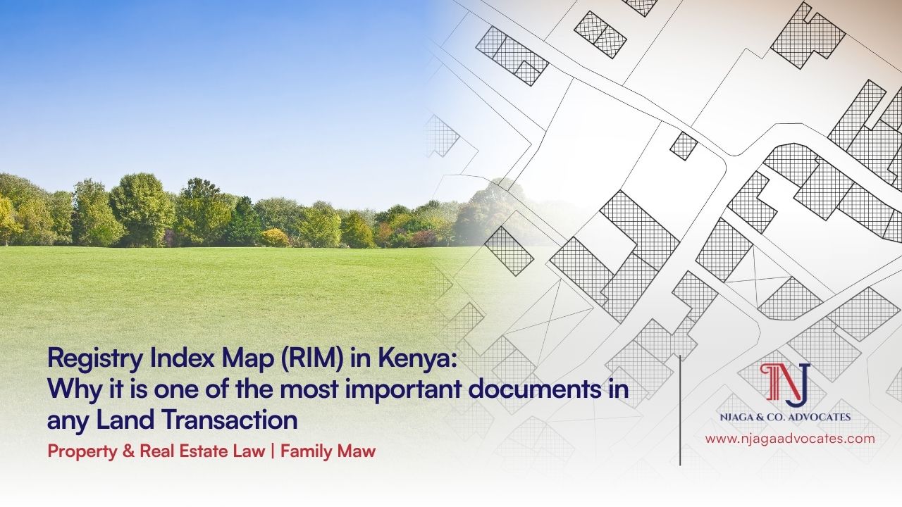 Registry Index Map in Kenya blog header showing green land with cadastral map overlay by Njaga & Co. Advocates | Real estate law in Kenya | Property lawyers in Kenya